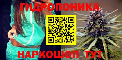 стаф Малгобек