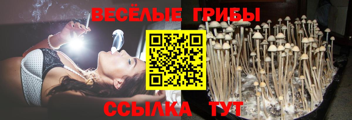 Галлюциногенные грибы мицелий Чистополь
